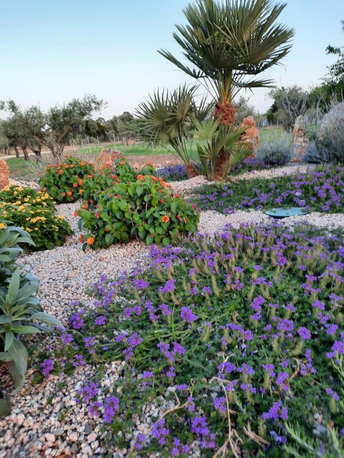 Villa Impetrata Iun Q7090 أروسييْ المظهر الخارجي الصورة