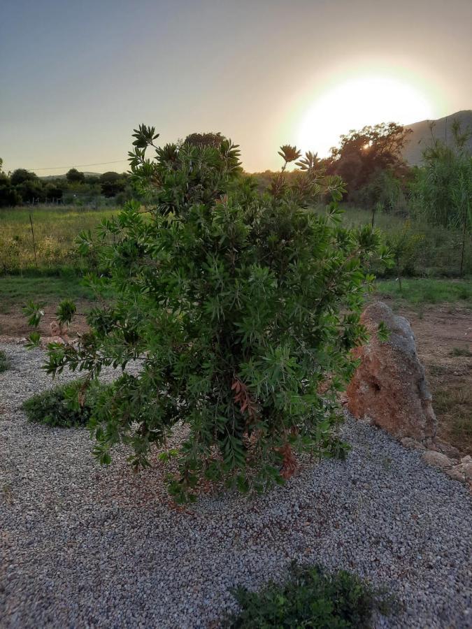Villa Impetrata Iun Q7090 أروسييْ المظهر الخارجي الصورة